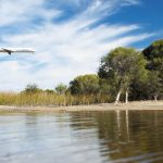 Perth Airport Targeting Carbon Neutrality By 2030