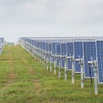 Apex Clean Energy, Weyerhaeuser Team Up to Develop Solar Projects