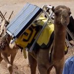 “Solar Camels” Bringing E- Books To Ethiopian Kids