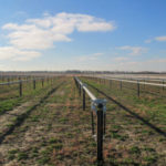 Two DESRI Solar Projects in Illinois Reach Commercial Operations
