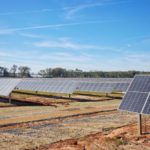 RWE Begins Operations at 195.5 MW Hickory Park Solar Project