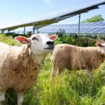 NREL Completes New Phase of Solar Energy, Agriculture Research