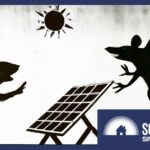 Bird Proofing Solar Panels: Lessons Learnt From Bitter Experience