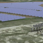 TC Energy Building Saddlebrook Solar Project