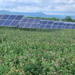 Lightsource bp finishes second solar project for Southeastern Pennsylvania Transportation Authority