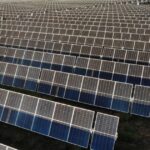 Kingaroy Solar Farm Controversy Continues