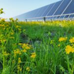 Lightsource bp kicks off nearly 200-MW solar project in Indiana