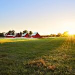 Lightstar Renewables partners with American Farmland Trust to advance agricultural solar