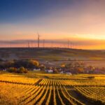 Conservation coalition confirms wind and solar transition is best route for the environment But the group says the industry must develop the right types of renewables in the right places.
