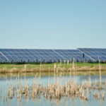 Renewable America develops 15 MW of solar + storage projects for California municipal utilities