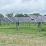 Leeward Renewable Energy completes 100-MW solar project for Verizon