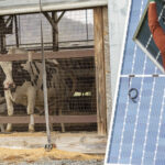 New SunCommon solar installation powers Vermont dairy farm