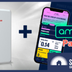 Amber Electric 12 Month Review: Lower Bills Despite Battery Issues