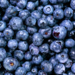 Wyman’s Blueberries to power harvest with Maine solar project
