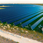 Lightsource bp developing 288-MW Texas solar portfolio