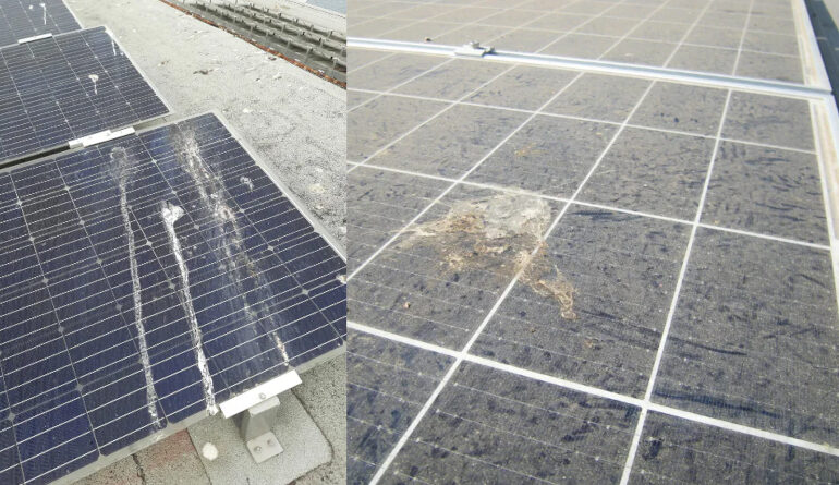 Soilar Tech launches solar panel cleaning classes for NABCEP credits