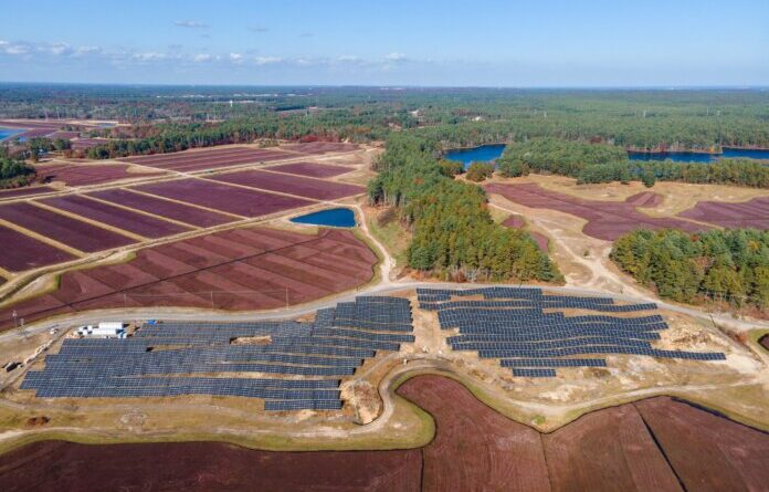 Carver Solar Project Turns Cranberry Bog into Power Source