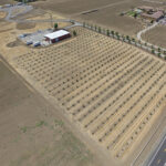 Renewable America gets go-ahead for new 2.48-MW California solar project